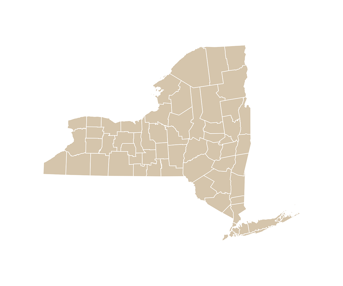 map of new york state with county lines