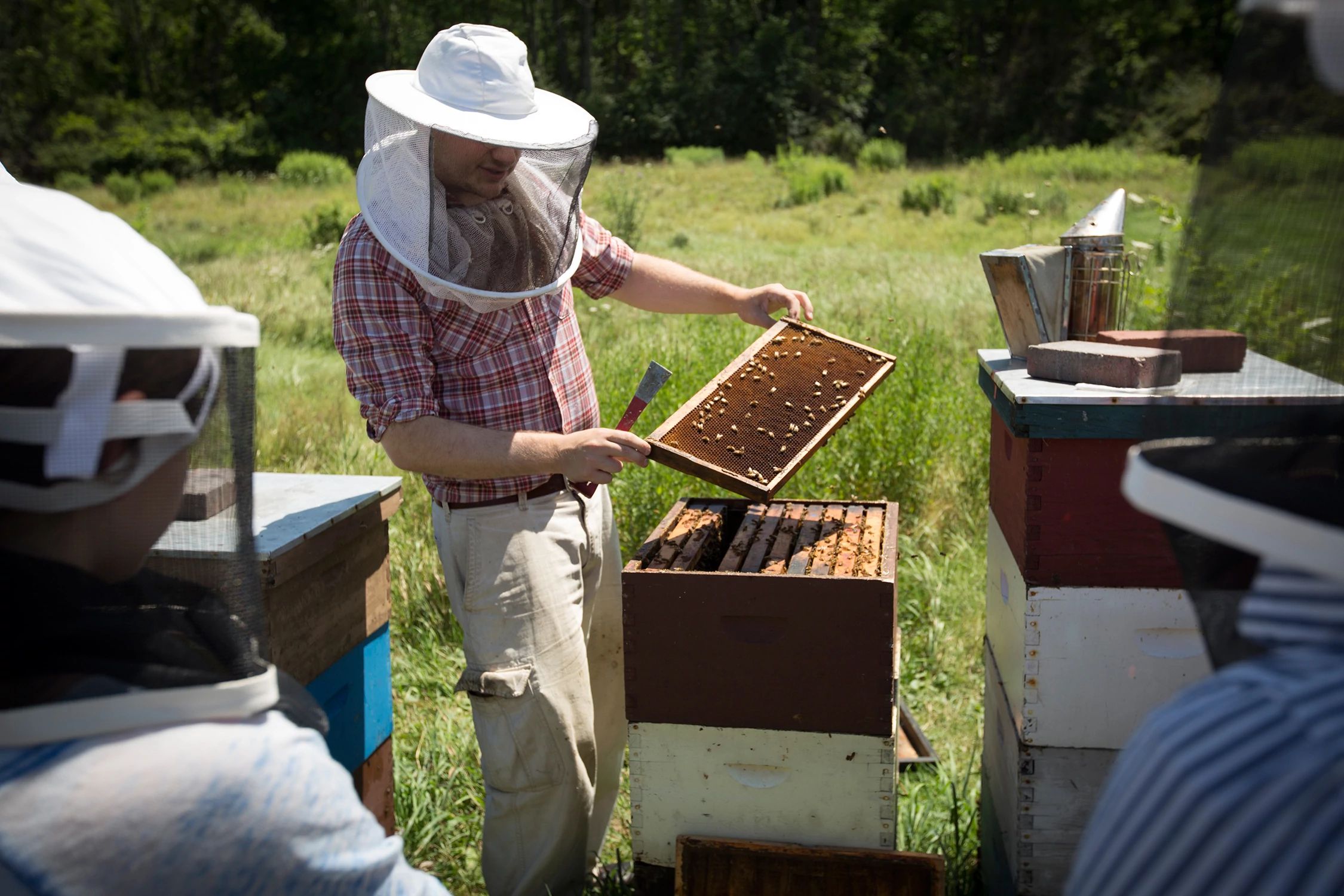A beekeeper demonstrates removing frames from a beehive.