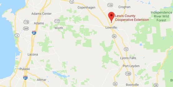 A map of Northern NY with a pin dropped on 7395 East Rd Lowville, NY 13367