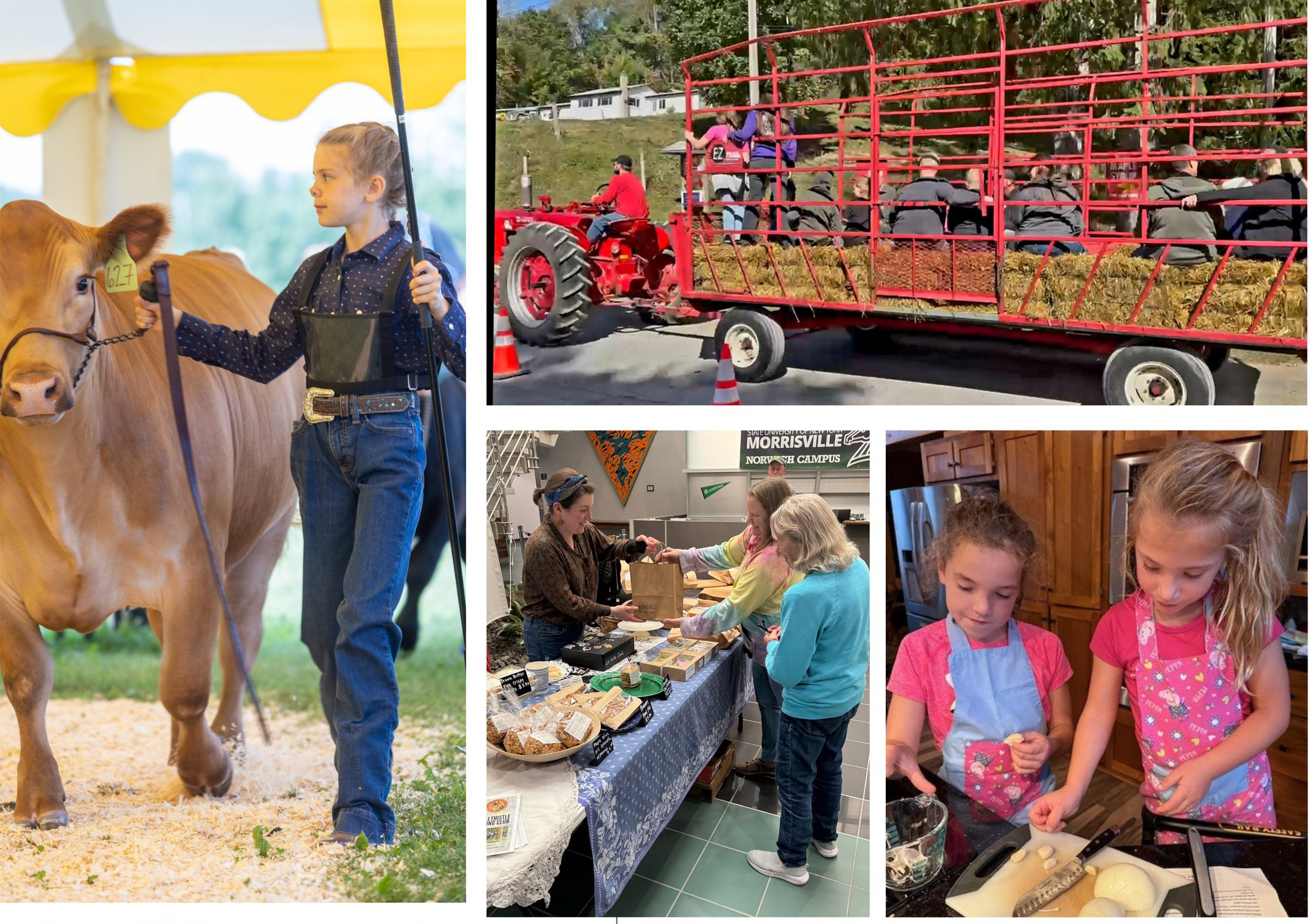 CCE Chenango County banner decorative