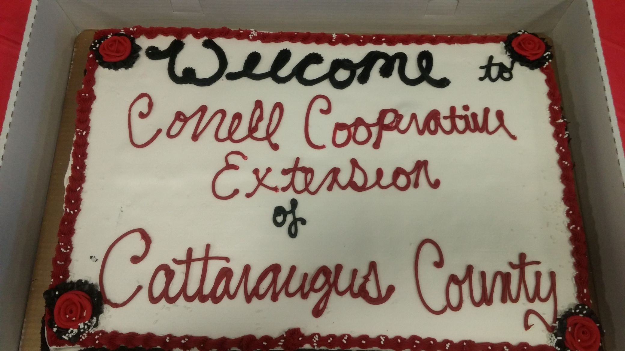 CCE-Catt-welcome