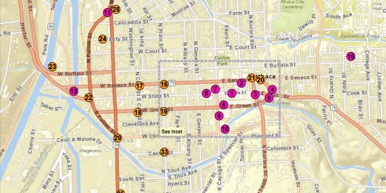 Google Map marking beautification spots in Ithaca