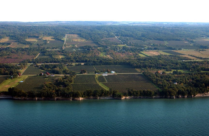 View of Lake Erie shoreline and grape vineyards