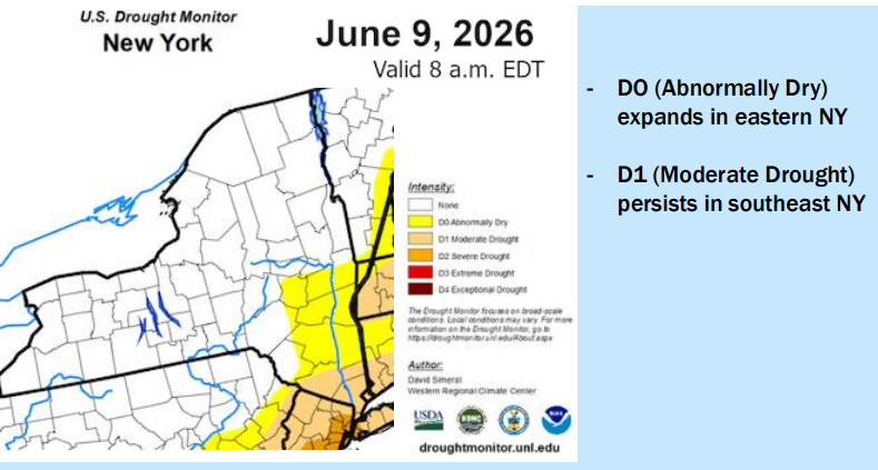 U.S. Drought Map of NY for June 9.