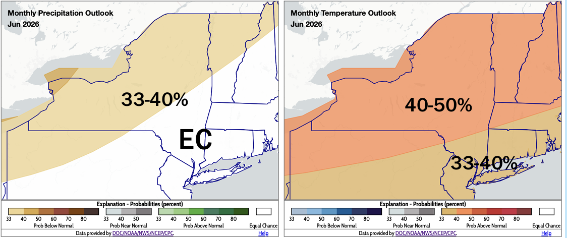 Maps of New York for percent chance of precipitation and temperature