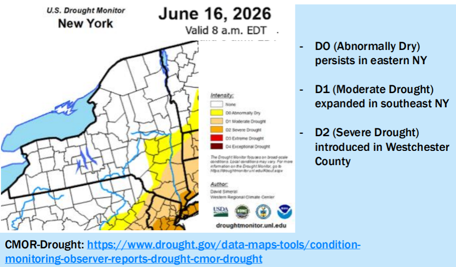 Map of New York for drought monitor for June 16.