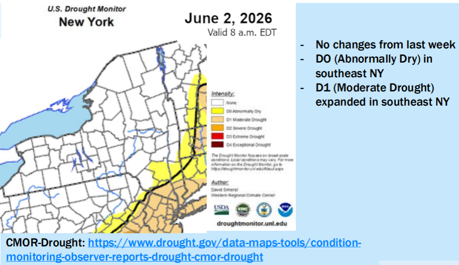 Map of New York for drought monitor for June 2.