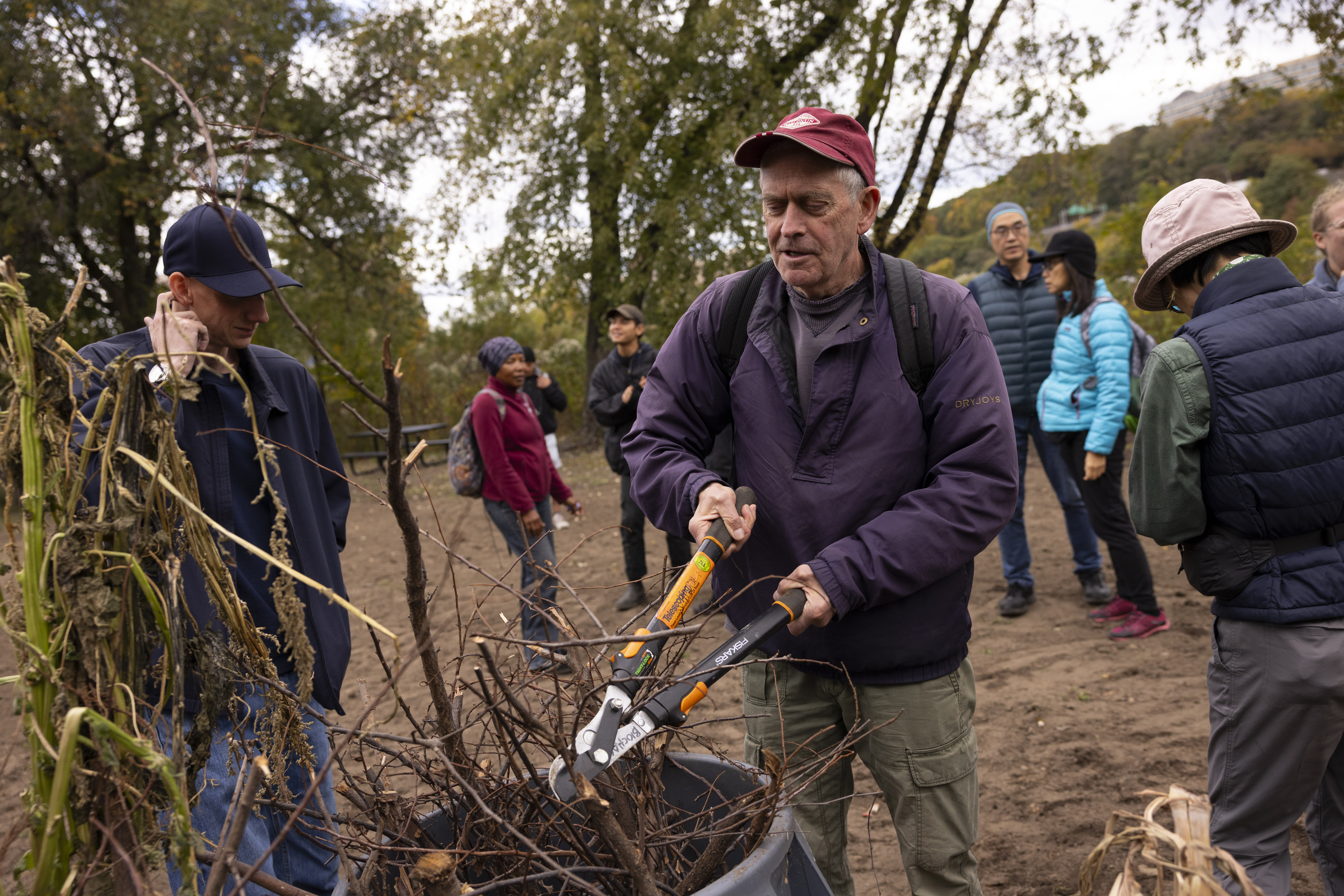A man uses loppers to cut branches that are in a barrel.