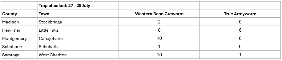 Table of pest monitoring for Western Bean Cutworm and True Armyworm.