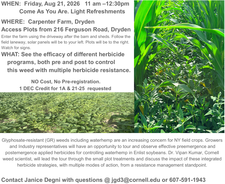 Weed Walk in Dryden flyer