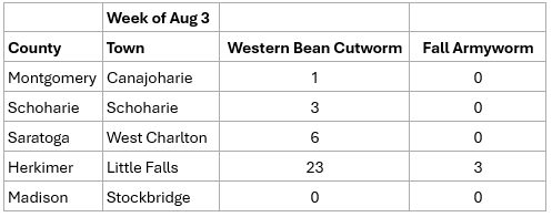 Table of pest monitoring for Western Bean Cutworm and True Armyworm.