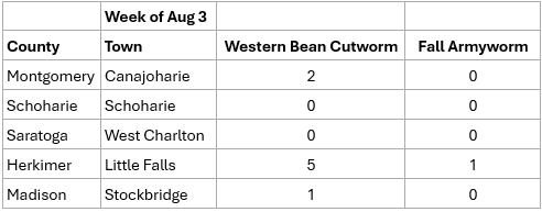 Table of pest monitoring for Western Bean Cutworm and True Armyworm.