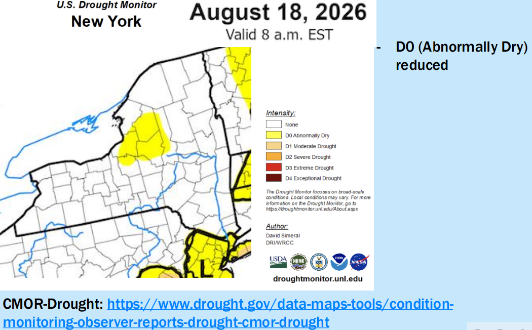 Map of New York for drought monitor for August 18.