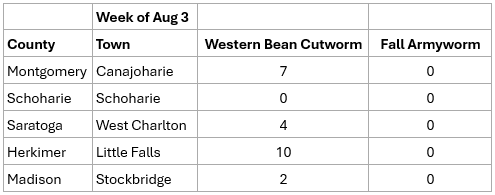 Table for Traps checked for Western Bean Cutworm and True Armyworm week of August 3.