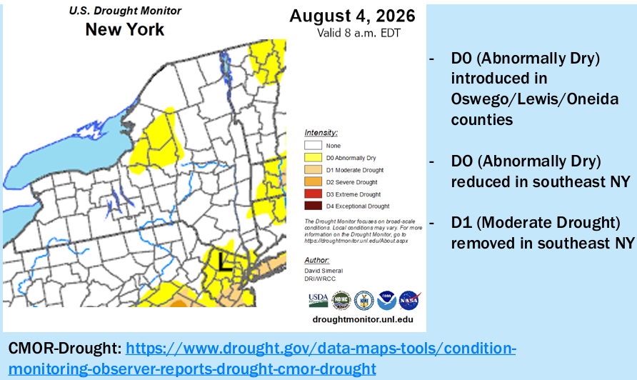 Map of New York for drought monitor for August 7.