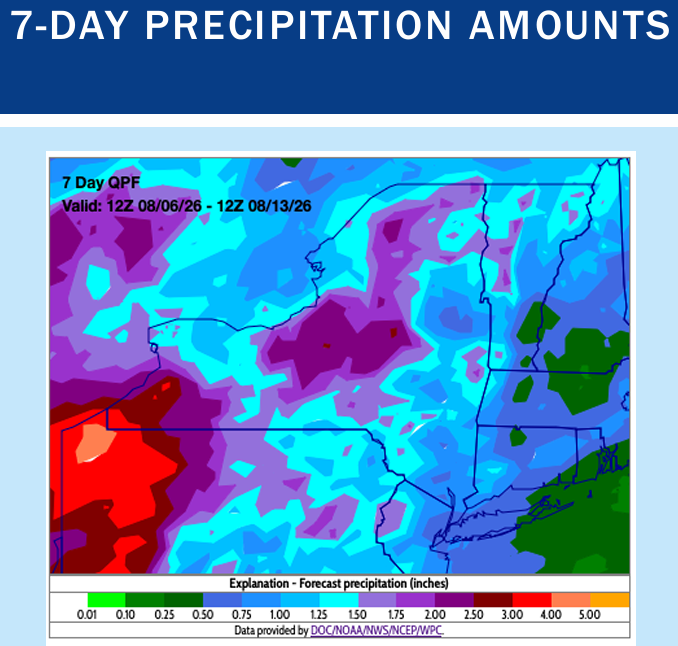 Map of New York for 7-Day Precipitation Amounts for August 6 - 13.