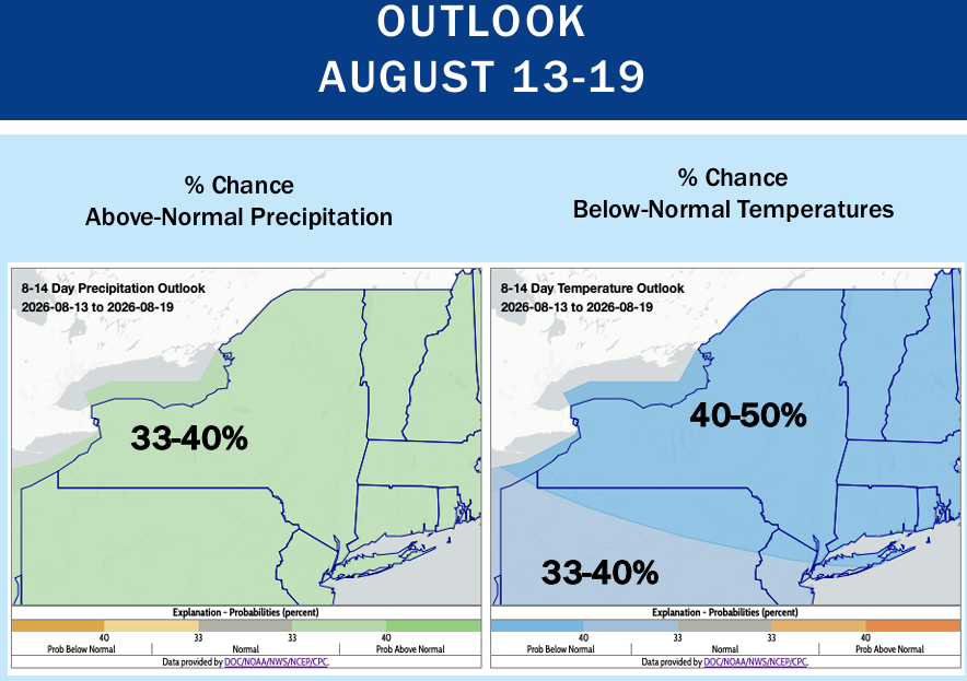 Map of New York for percent chance of precipitation and temperature.