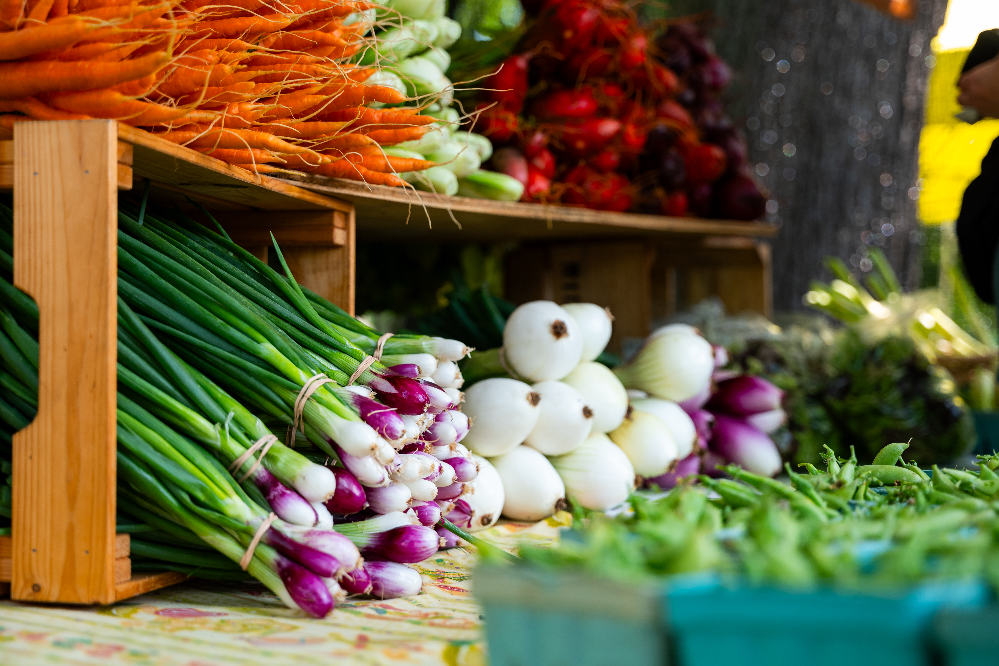 a display of onions, carrots, and radish at a farmers market