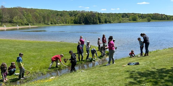 children using nets to catch and study pond life
