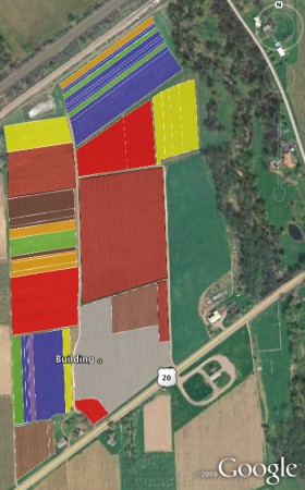 Google Earth map of Cornell Lake Erie Research and Extension Laboratory vineyard layout.