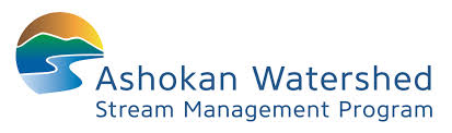 Visit the AWSMP website