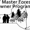 NY MFO Program