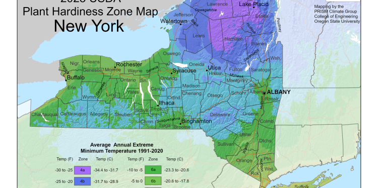 Map of NYS plant hardiness zones.