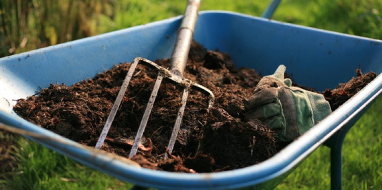 Wheelbarrow with compost material.