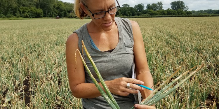 A woman in glasses is looking closely at onion leaves. She is standing in a field of onion plants.