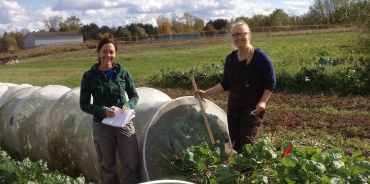 Two women stand near Brussels sprouts covered by a low tunnel and insect exclusion netting.