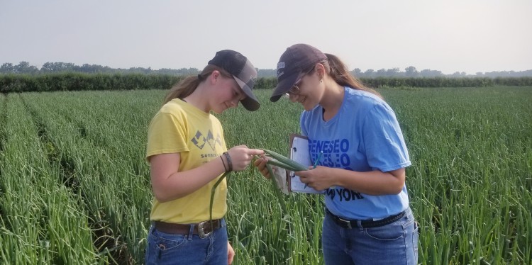 Two women, both in baseball caps, standing in an onion field looking at a plant they pulled. They are looking closely at the leaves for signs of disease or pests.