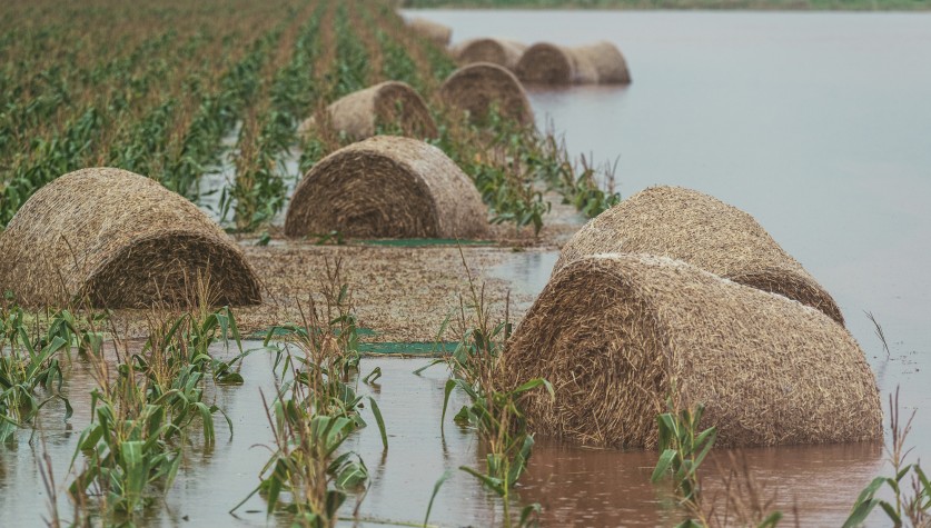 Flooded fields and floating bales 