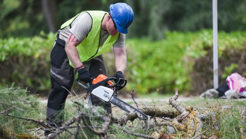 A person in a blue hard hat and bright yellow/green vest cutting down trees 