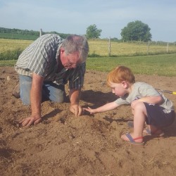man and young boy digging in the dirt