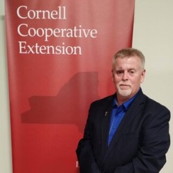 John Bowe, Executive Director