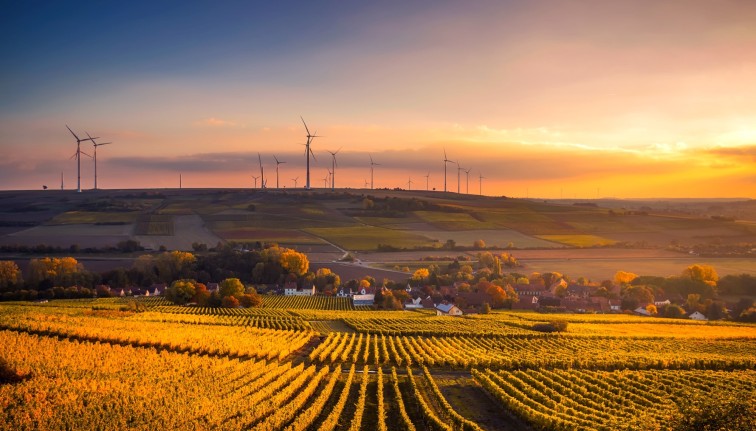 Field with sunset and wind turbines