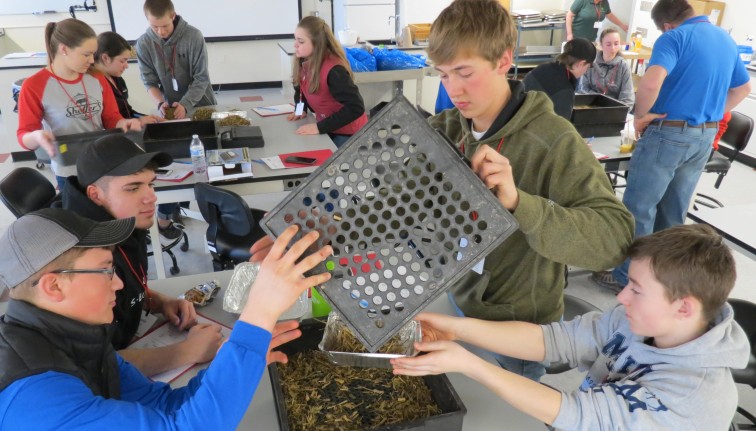 youth using shaker box for feed analysis