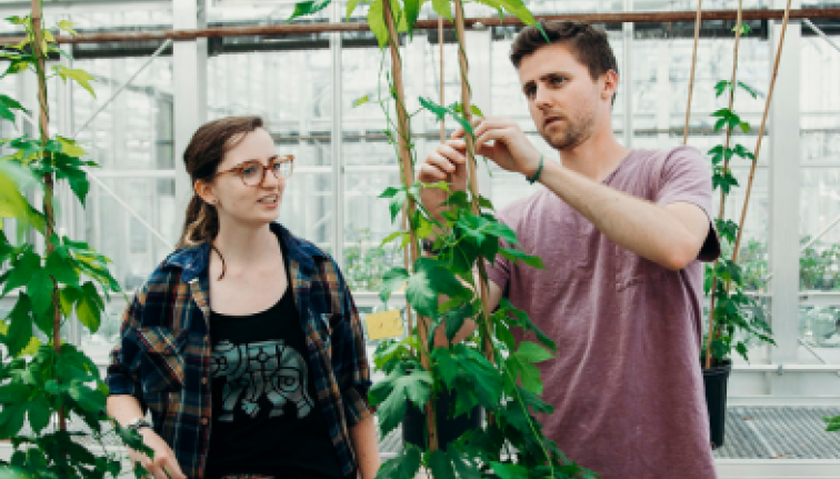 agriculture image test