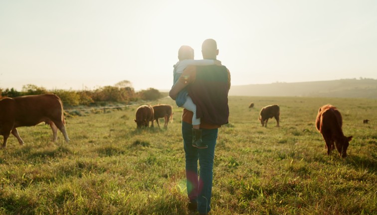 A person holds a child and stands in a field with cows grazing nearby