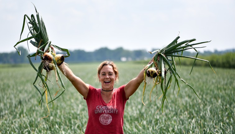 A woman in a red Cornell University t-shirt stands in an onion field, holding newly pulled onions up in each hand like cheerleader pom-poms.