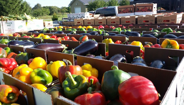 Flat bed wagon covered in boxes of produce waiting to enter a produce auction.
