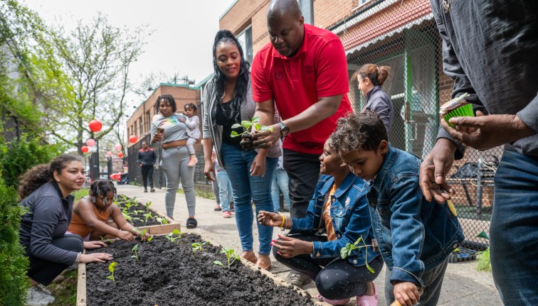 A man in a red polo shirt shows children how to separate transplants to be planted in a raised bed.