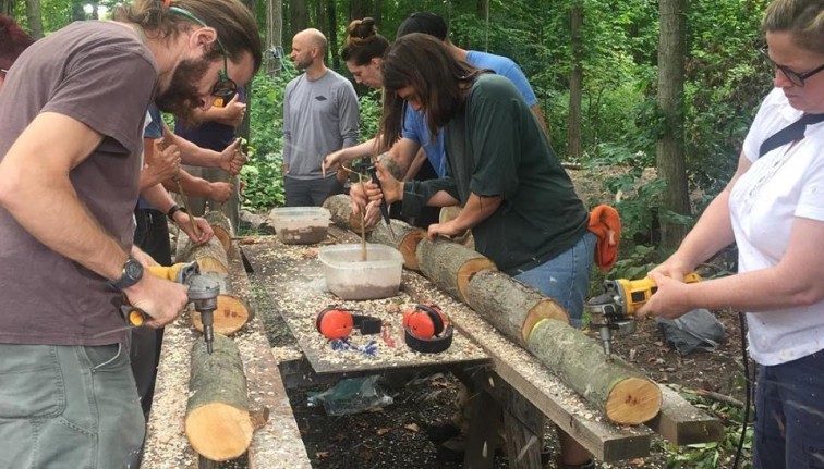 People lining the sides of custom-built log holding tables, many drilling holes in logs for mushroom inoculation.