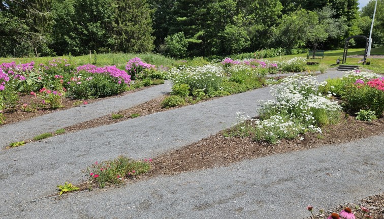 Community Garden