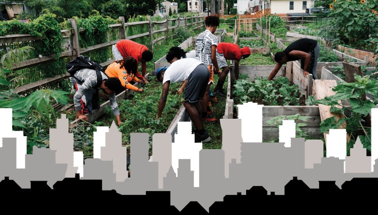 A background photo of several young people working in raised beds in an urban garden. The photo is overlaid by a graphic of a city skyline.
