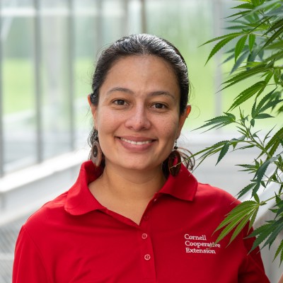 A smiling woman wearing a red Cornell Cooperative Extension polo shirt standing next to a Cannabis sativa plant.
