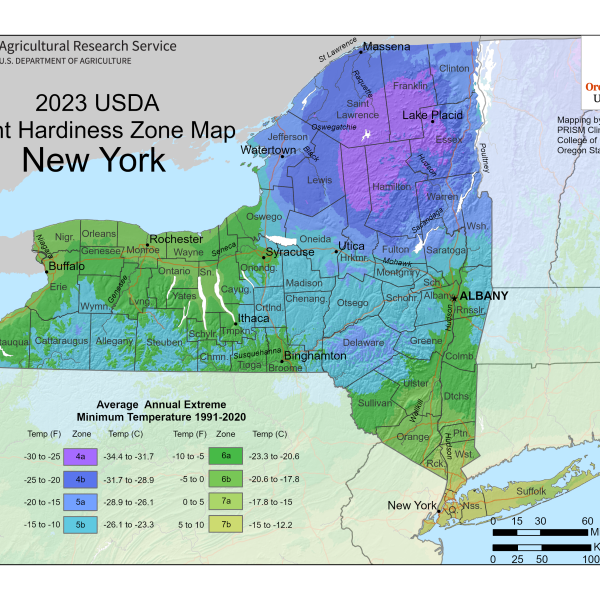Map of NYS plant hardiness zones.
