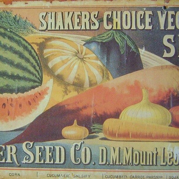 Shaker Seed company packet.