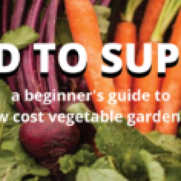 CCE-catt-seed2supper