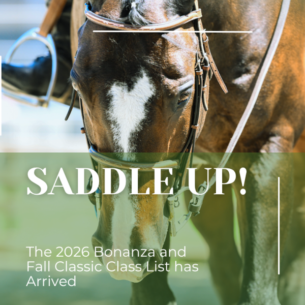 CCE-Catt-4-H open horse shows